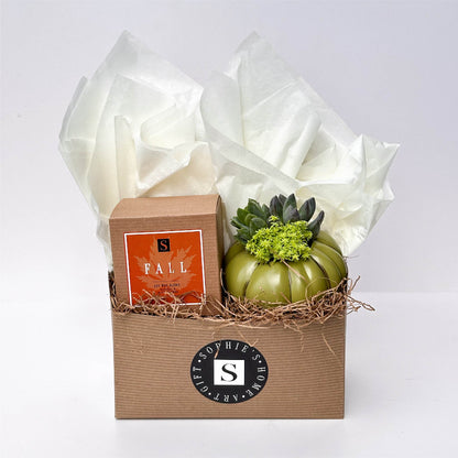 Fall Signature Candle with Olive Pumpkin Succulent
