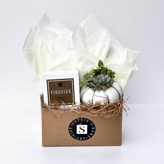 Fireside Signature Candle with White Pumpkin Succulent