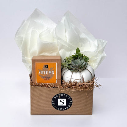 Autumn Signature Candle with White Pumpkin Succulent