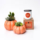 Fall Signature Candle with Orange Pumpkin Succulent
