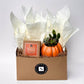 Fall Signature Candle with Orange Pumpkin Succulent