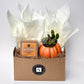 Autumn Signature Candle with Orange Pumpkin Succulent
