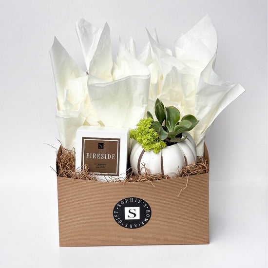 Fireside Signature Candle with White Pumpkin Succulent
