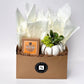 Autumn Signature Candle with White Pumpkin Succulent