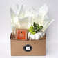 Fall Signature Candle with White Pumpkin Succulent