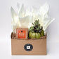 Fall Signature Candle with Olive Pumpkin Succulent