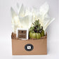 Fireside Signature Candle with Olive Pumpkin Succulent