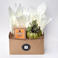 Autumn Signature Candle with Olive Pumpkin Succulent