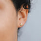 Gold Seashell Earrings
