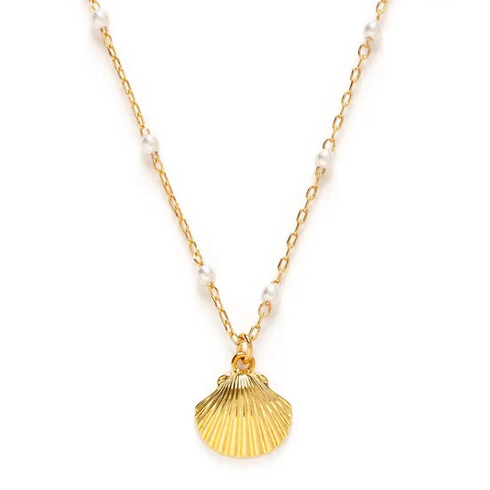 Scallop Shell + Pearl Necklace