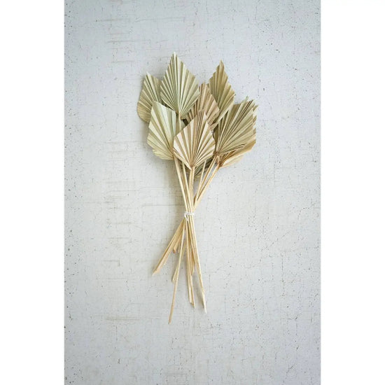 Mini Palm Spears Bundle
