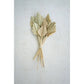 Mini Palm Spears Bundle