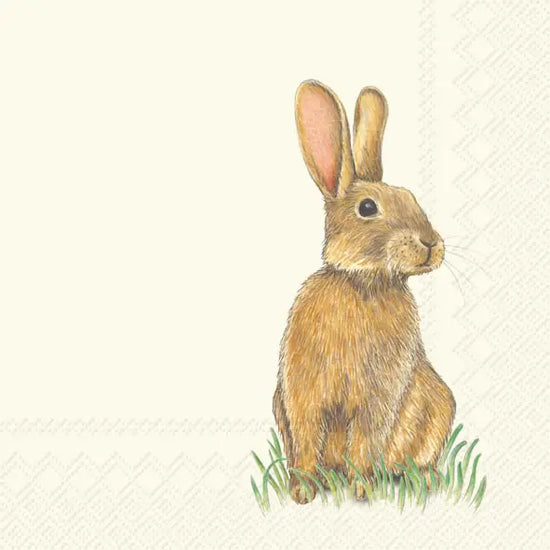 Eddie Bunny Cocktail Napkins