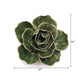 *REGISTRY ITEM: Green Ranunculus Ceramic Flower*