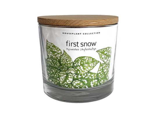 First Snow - Polka Dot Houseplant