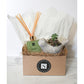 Small Bird Succulent + Napa Diffuser Gift Box