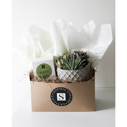 Large Lattice Succulent + Signature Candle Gift Box