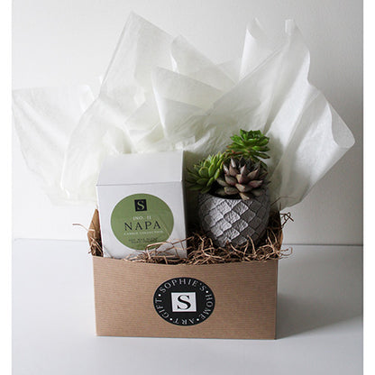 Small Lattice Succulent + Signature Candle Gift Box