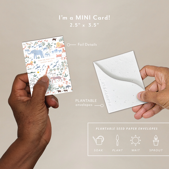 Lucky Baby Mini Greeting Card