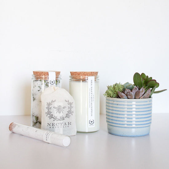 Sea Salt Succulent Gift Box