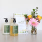 Studio Gift Box