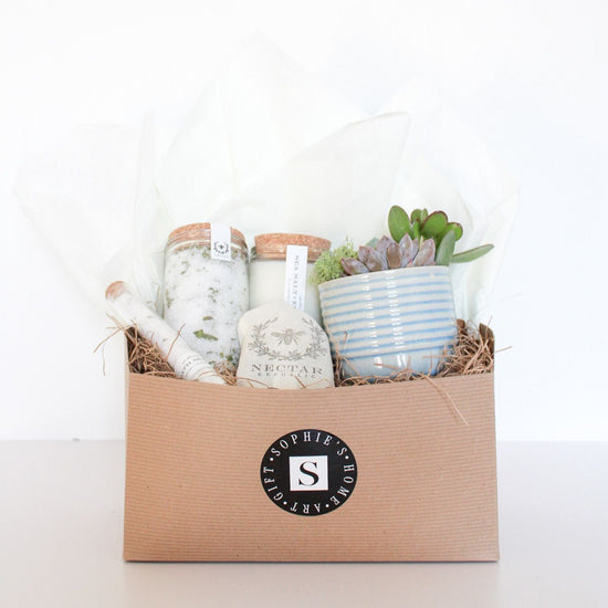 Sea Salt Succulent Gift Box