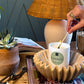 Sophie’s Signature Candle - Cashmere