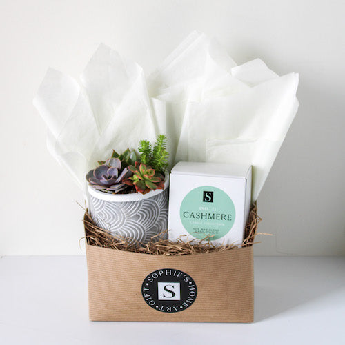 Grey Patterned Succulent + Signature Candle Gift Box