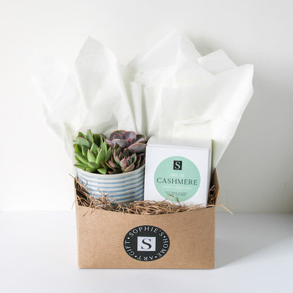Ripple Succulent + Signature Candle Gift Box