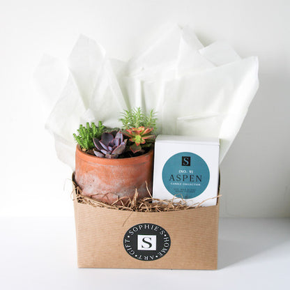 Terra Jar Succulent + Signature Candle Gift Box