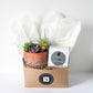 Terra Jar Succulent + Signature Candle Gift Box