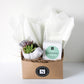Small Cement Bird Succulent + Signature Candle Gift Box