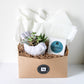Large Cement Bird Succulent + Signature Candle Gift Box