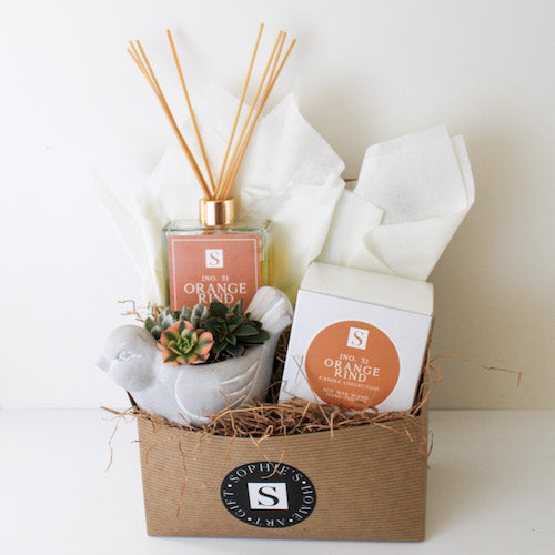 Luxe Orange Rind + Bird Succulent Gift Box