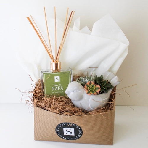 Small Bird Succulent + Napa Diffuser Gift Box
