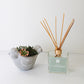 Small Bird Succulent + Cashmere Diffuser Gift Box