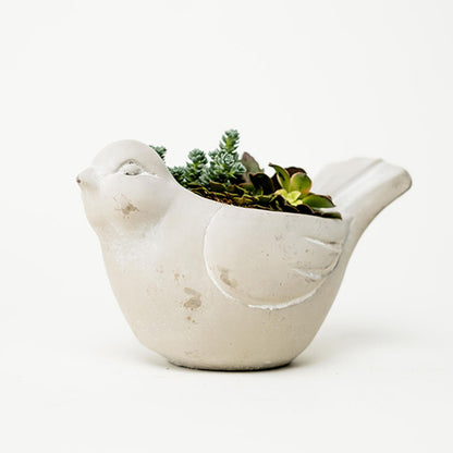 Cement Bird Succulent