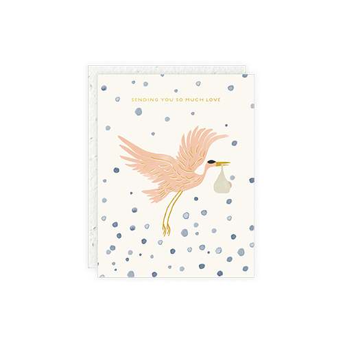 “Sending You So Much Love” Stork Delivery Baby Card