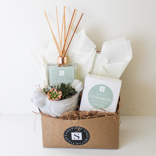 Luxe Cashmere + Bird Succulent Gift Box