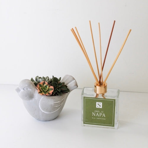 Small Bird Succulent + Napa Diffuser Gift Box