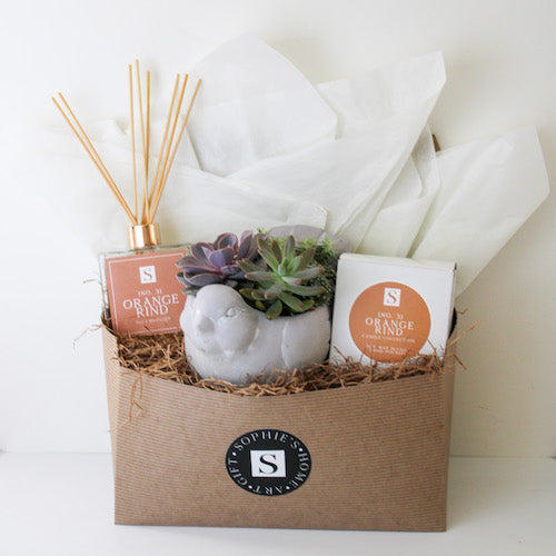 Luxe Orange Rind + Bird Succulent Gift Box